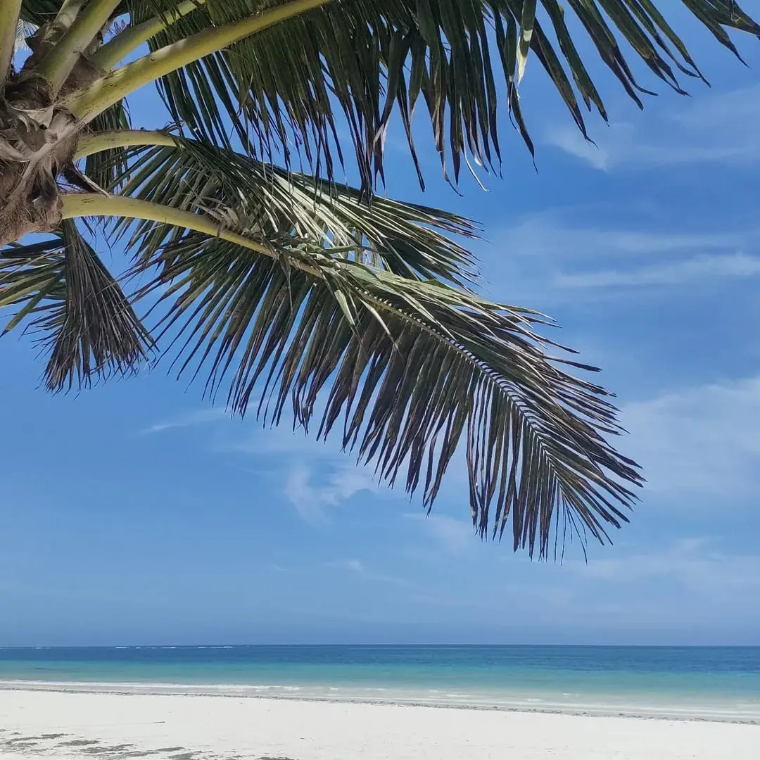 Diani Beach